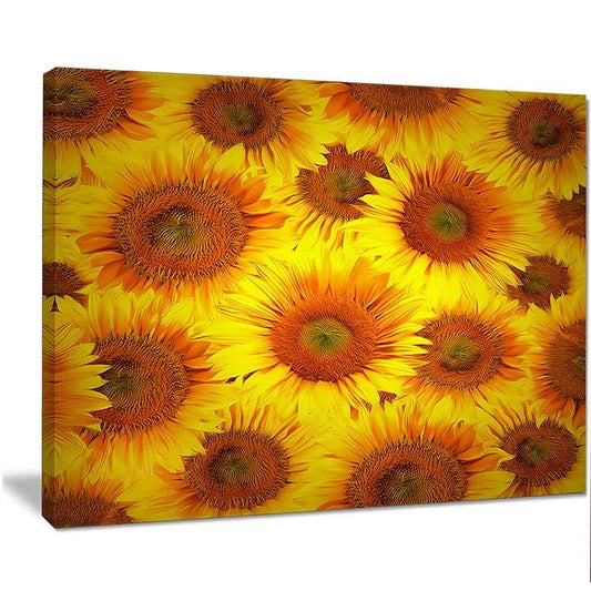 Designart &Sunflower Heads Decorative Background& Graphic Art on Wrapped Canvas Size: 30x22 H x 40x22 W x 1x22 D IRM3_Y3NBS38