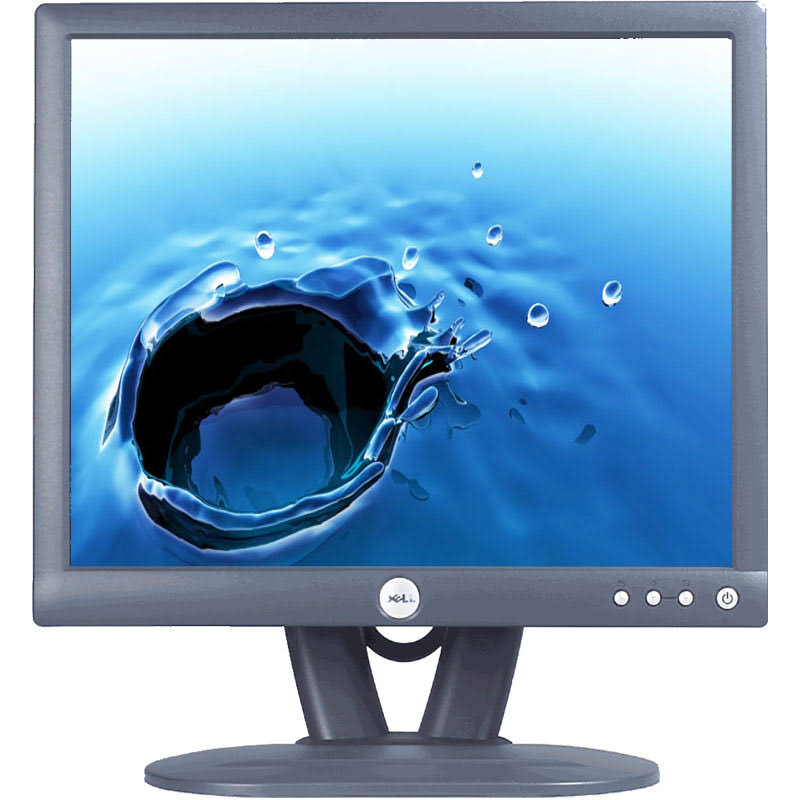 Dell E193FP 19x22 LCD Monitor PYB1_Y6WDR69