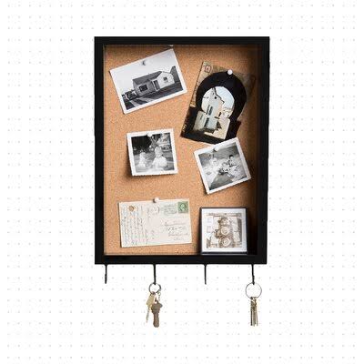 Charlton Home Gonzales 14x22 x 18x22 x 3x22 Shadow Box Finish: Black Frame TBM2_B5VLR90