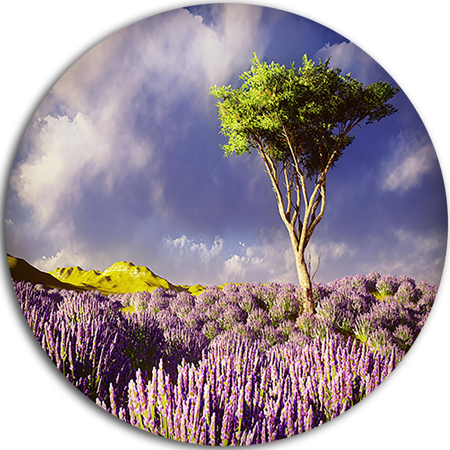 Design Art Green Tree in Lavender Field Photographic Print on Metal, Purple NLG5_G8JMN95