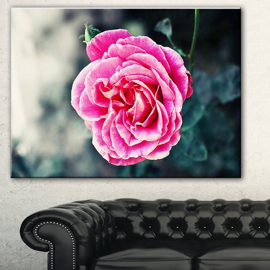 Design Art Red Rose in Vintage Style Photographic Print on Wrapped Canvas, Size: 30 inch H x 40 inch W x 1 inch D ULT5_D6UIP13