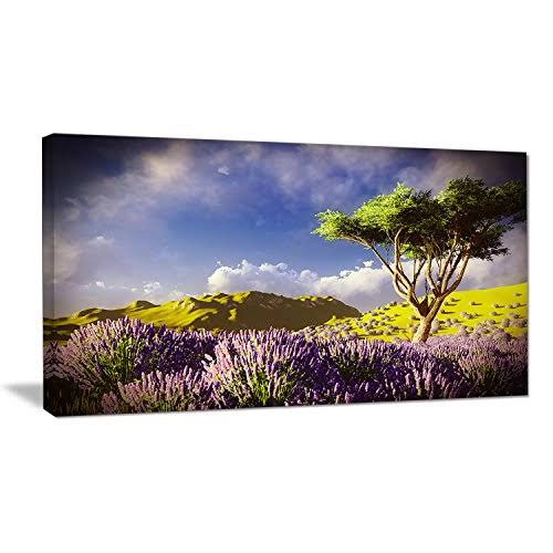 Design Art Bright Lavender Garden Field Modern Landscape Photographic Print on Wrapped Canvas, Size: 20 inch H x 40 inch W x 1 i PKO5_H1FFS13