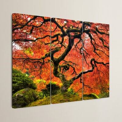 Darby Home Co &Japanese Maple Tree& by John Black 3 Piece Photographic Print on Canvas Set Size: 24x22 H x 36x22 W KGB9_M8AQE59