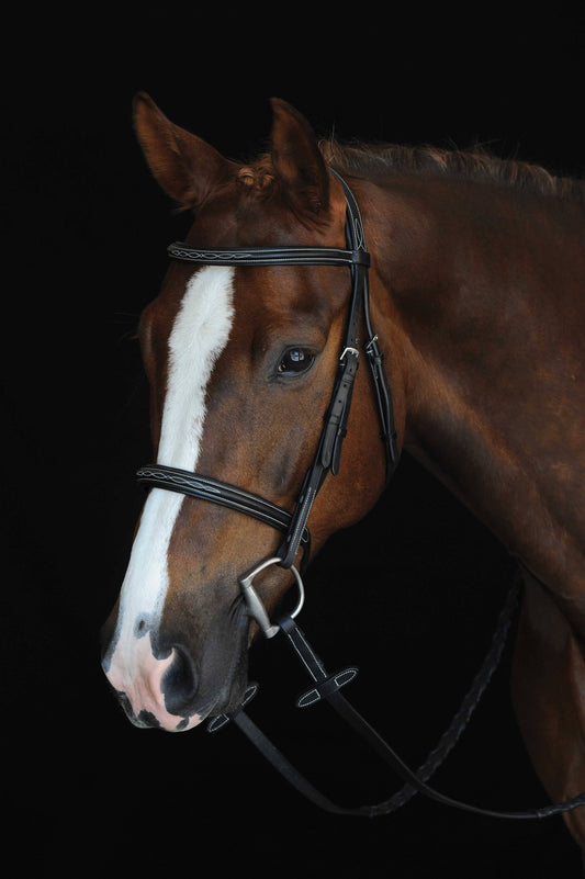 Collegiate Mono Crown Fancy Stitched Raised Cavesson Bridle - Brown PIL6_E6JZK98