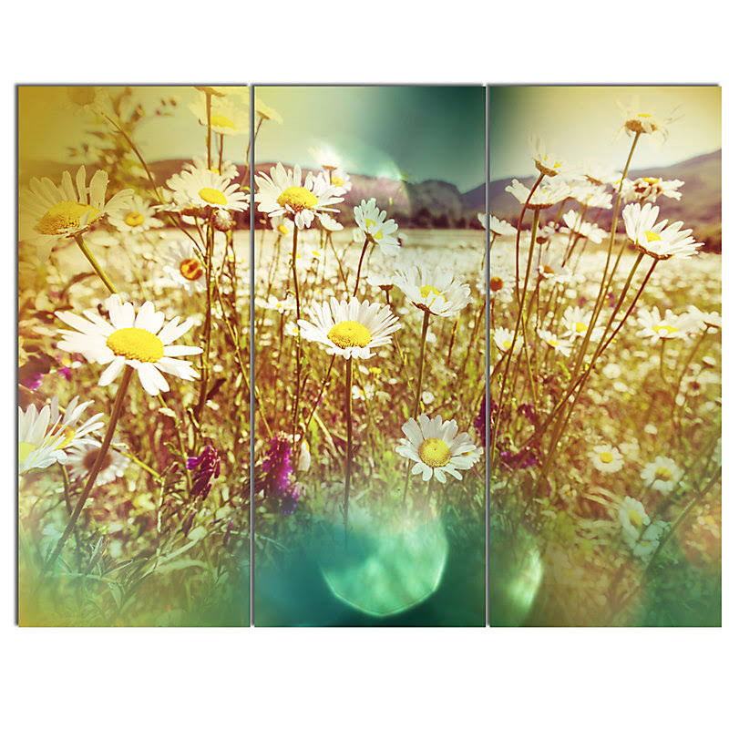 Design Art Beautiful Blossom Chamomile Flowers& 3 Piece Photographic Print on Metal Set, Yellow WWK6_K2DJA17