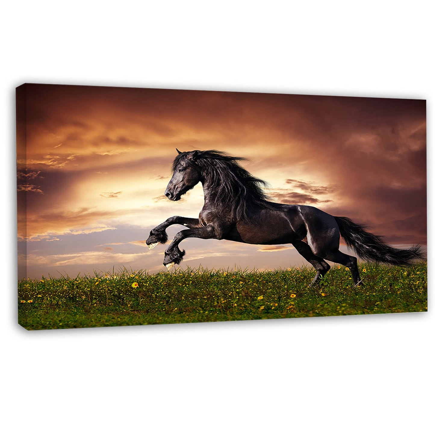 Design Art &Black Friesian Horse Gallop& Graphic Art on Wrapped Canvas, Black STX2_B3BMS16