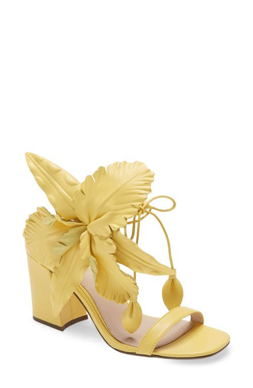 Cecelia New York Hibiscus Sandal, Size 7 in Yellow Suede at Nordstrom FJN0_B9LSM24