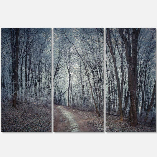 Designart Dense Gray Fall Forest Path - 3 Piece Graphic Art on Wrapped Canvas Set XVB2_T7KHK64