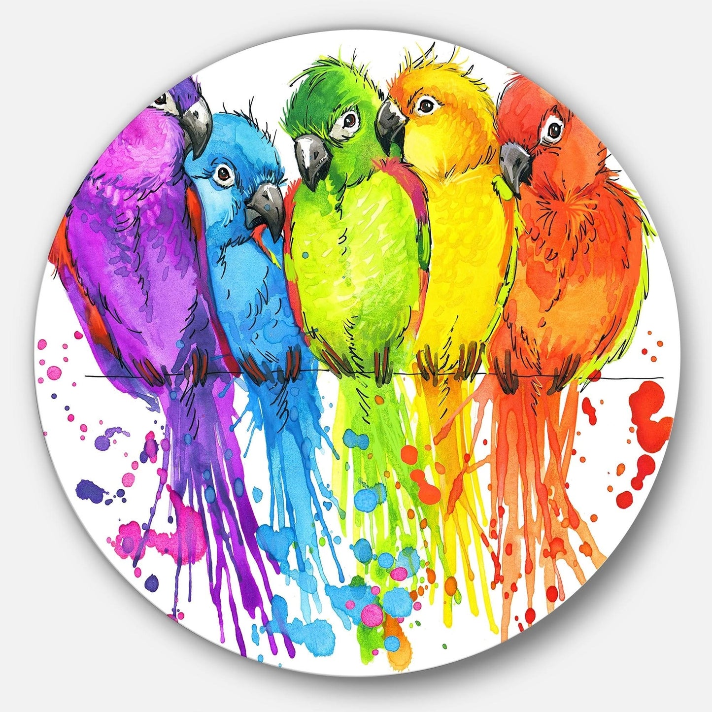 Designart &Colorful Parrots Illustration& Animal Glossy Metal Wall Art - 38 x 38 - Disc of 38 inch XYF9_F4MSF38