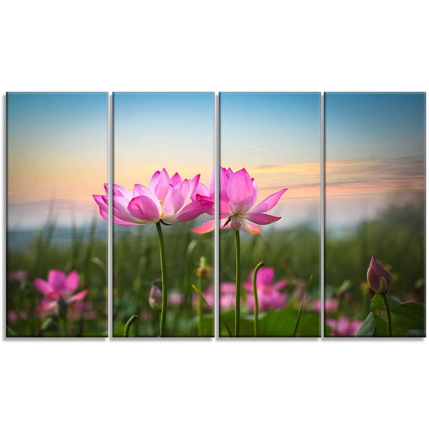 Designart &Blooming Lotus Flowers at Sunset& 4 Piece Wall Art on Wrapped Canvas Set LYE6_L2AAQ41