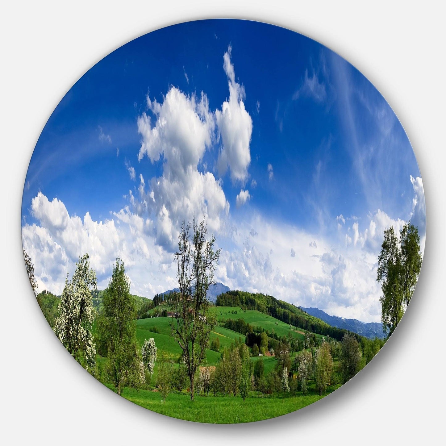 Designart Green Blue Spring Landscape Photo Disc Metal Wall Art - 29 x 29 - Disc of 29 inch BQS7_P1CCG27