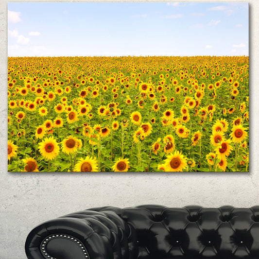 Design Art Beautiful Sunflowers Garden Photographic Print on Wrapped Canvas, Size: 16 inch x 32 inch, Yellow PFW9_X8TFD98