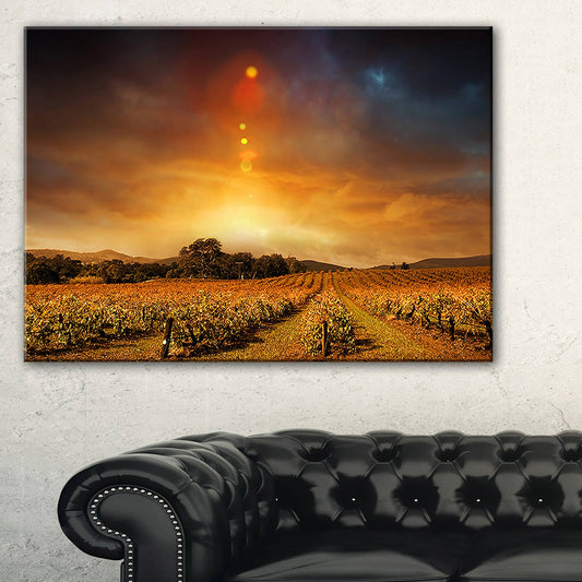 Design Art Yellow Autumn Vineyard Sunset - Landscape Artwork Canvas, 40 in. Wide x 20 in. High HBY6_H5HBT68