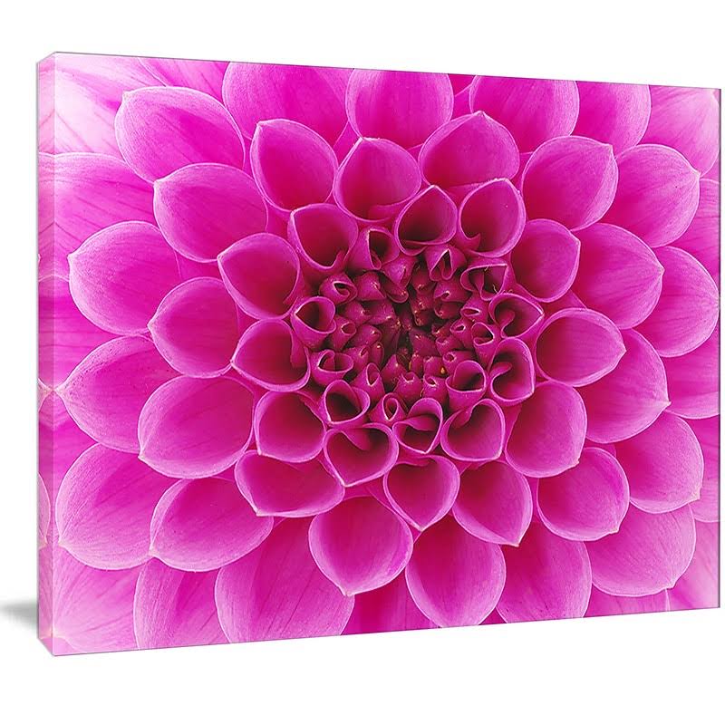 Design Art Large Pink Flower and Petals Graphic Art on Wrapped Canvas, Size: 30 inch x 40 inch OEZ3_V2DYO17