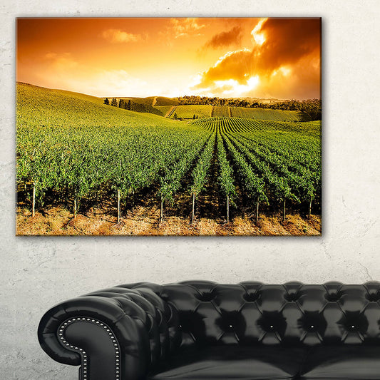 Design Art Sunset Vineyard Panorama - Extra Large Wall Art Landscape - Multi-Color, 40 in. Wide x 20 in. High FLB7_L4XLU91