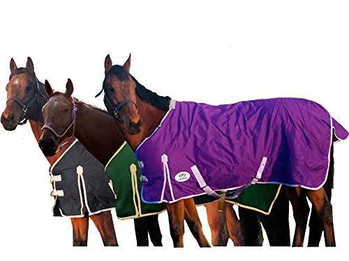 Derby Originals Deluxe 600d Nylon Turnout Winter Horse Blanket, Purple HFH5_E2DMR17