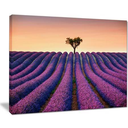 Design Art Lavender and Lonely Tree Uphill Graphic Art on Wrapped Canvas, Purple ELI8_K2IKB09