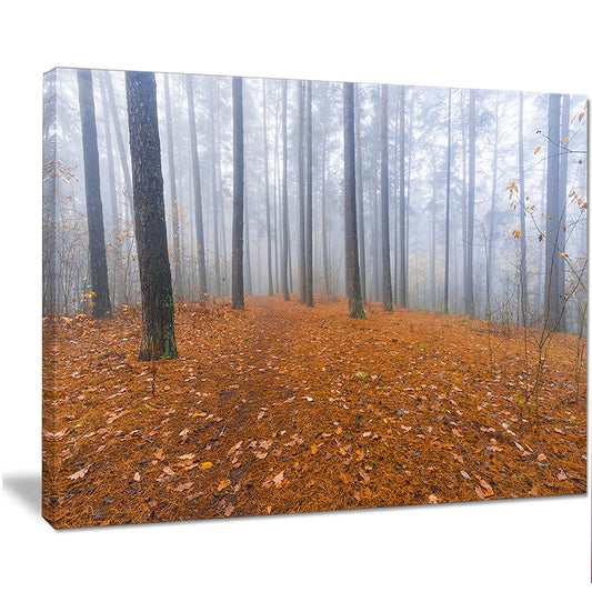 Designart Foggy Forest and Fallen Leaves Modern Forest Canvas Art - Brown - 40 in. Wide x 30 in. High CSV5_T6TBK09