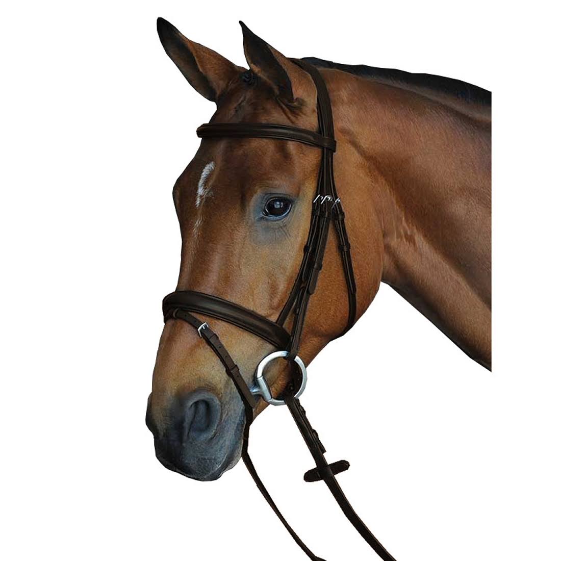 Collegiate Comfort Crown Padded Raised Flash Bridle - Brown - Full JUR6_Y4NOQ47