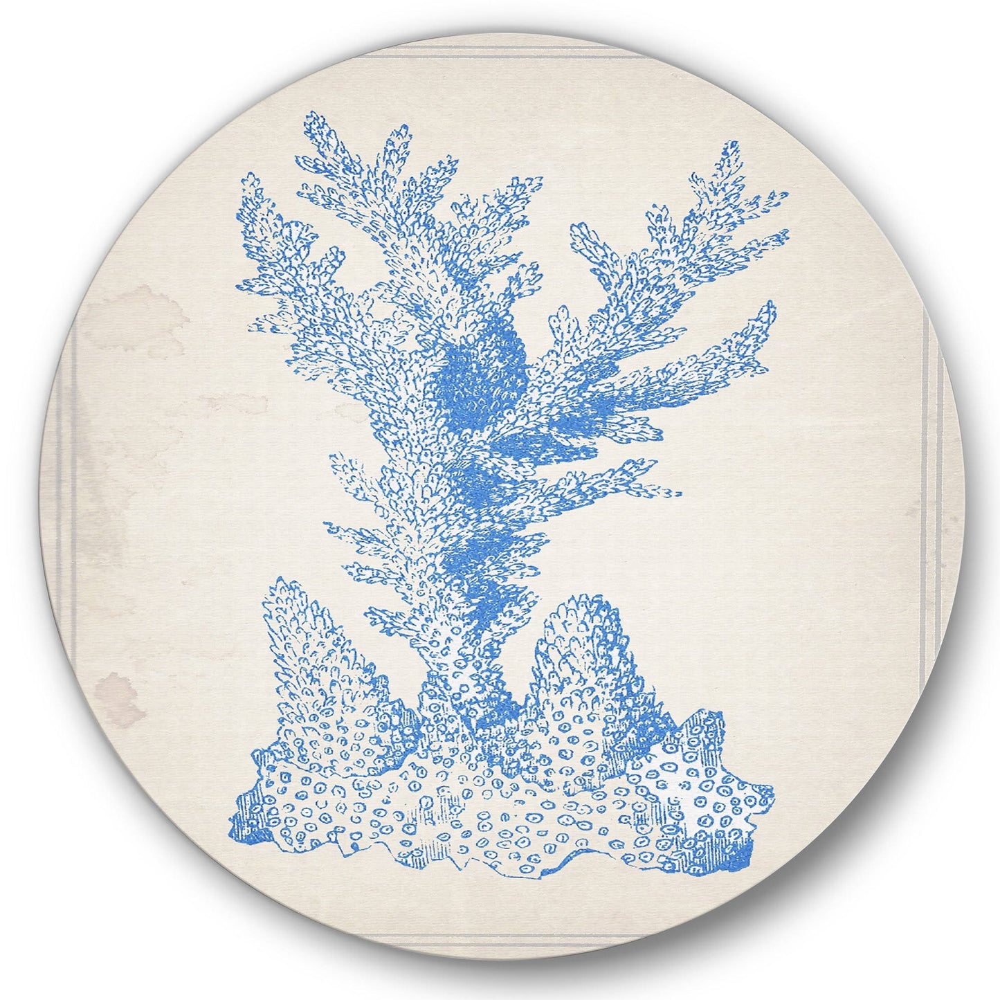 Designart &Blue Coral 1& Nautical Coastal Metal Circle Wall Art - 29 x 29 - Disc of 29 inch RFF0_I1UEV11