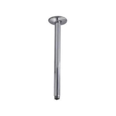 Ceiling Mount Shower Arm and Escutcheon with 1/2-Inch NPT Thread (10 inch, Stainless Steel), Silver TEY8_T7NEX69