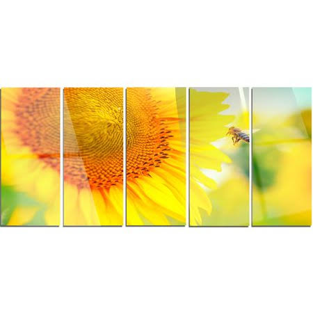 Design Art Beautiful Sunflowers Blooming 5 Piece Photographic Print on Canvas Set, Yellow ENS1_S4LJU23